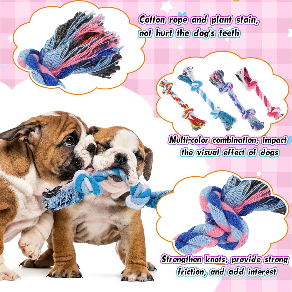 Paterr dog toy for tug-of-war and fetch to boost exercise