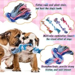 Paterr dog toy for tug-of-war and fetch to boost exercise