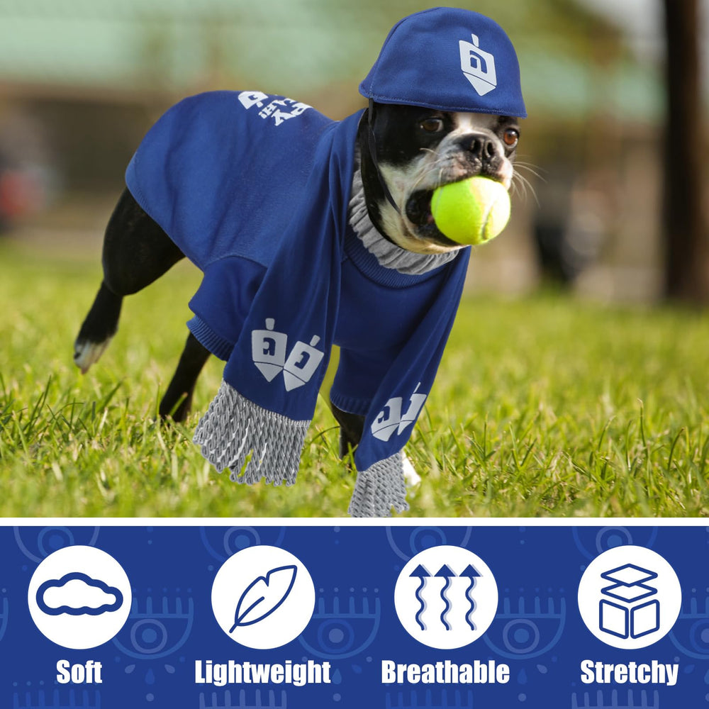 Paterr Hanukkah dog costume set displayed on pet for holiday events
