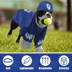 Paterr Hanukkah dog costume set displayed on pet for holiday events
