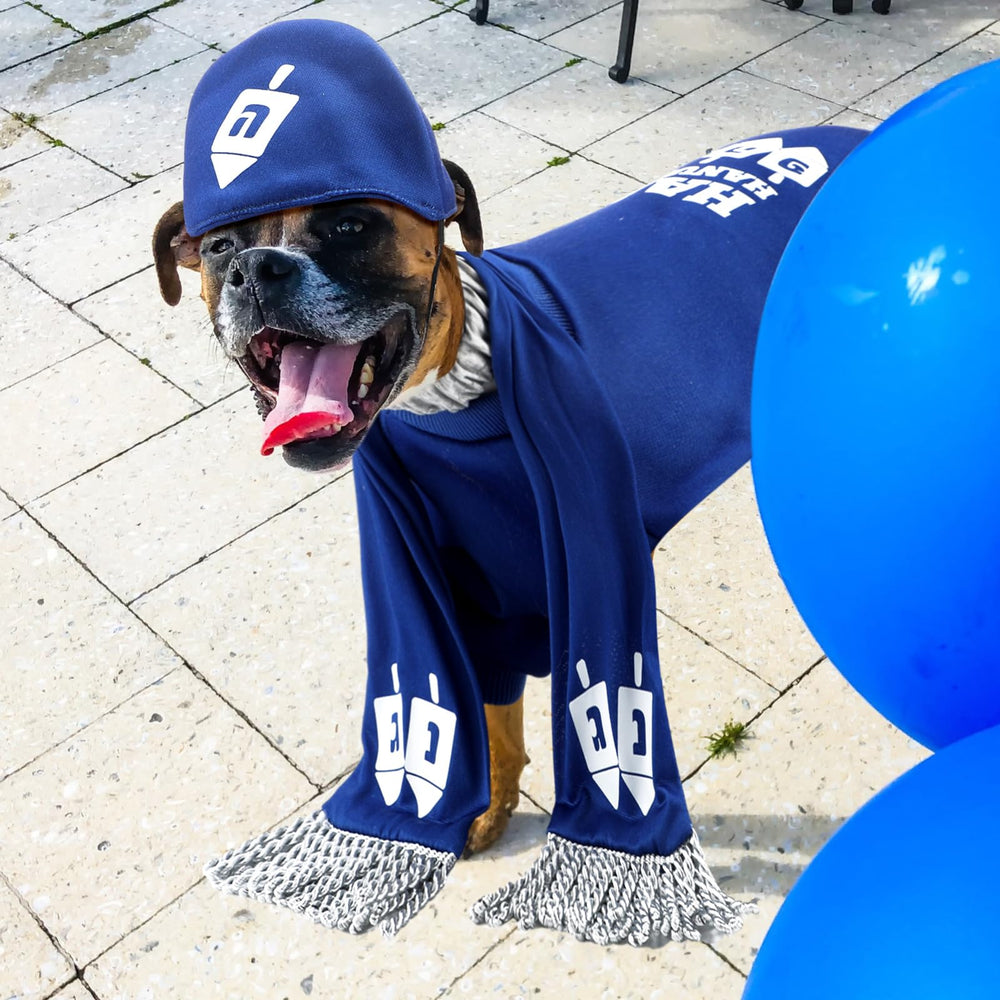 Paterr Hanukkah pattern dreidel design captures seasonal charm in photos
