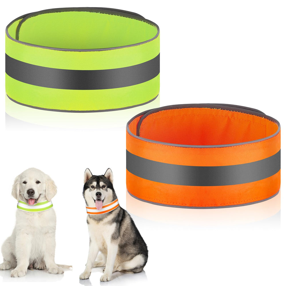 Paterr reflective dog collar pack in orange and green enhances night visibility for walks.