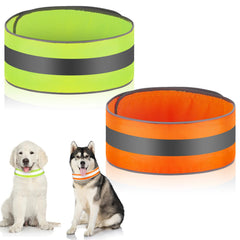 Paterr reflective dog collar pack in orange and green enhances night visibility for walks.