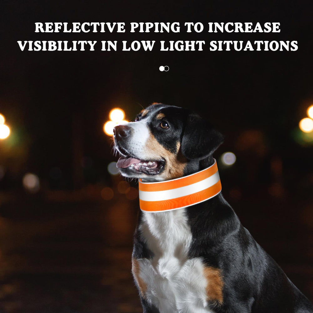Paterr reflective dog collar close-up shows quick-release buckle for easy restraint.