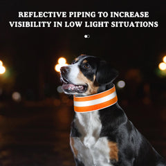 Paterr reflective dog collar close-up shows quick-release buckle for easy restraint.