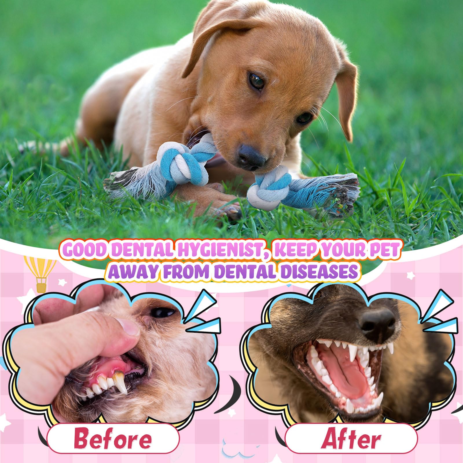 Paterr small to medium dog rope toy sized 6.69 inches for teething