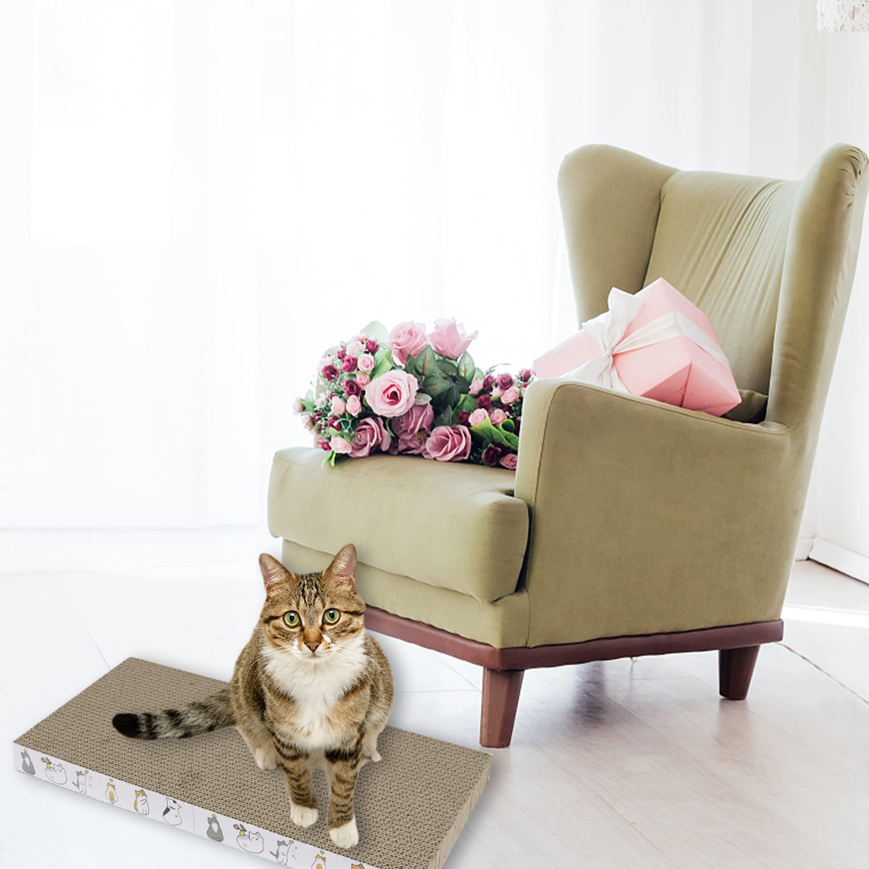 PatiencET catnip-included pack invites playful scratching and scent cues.