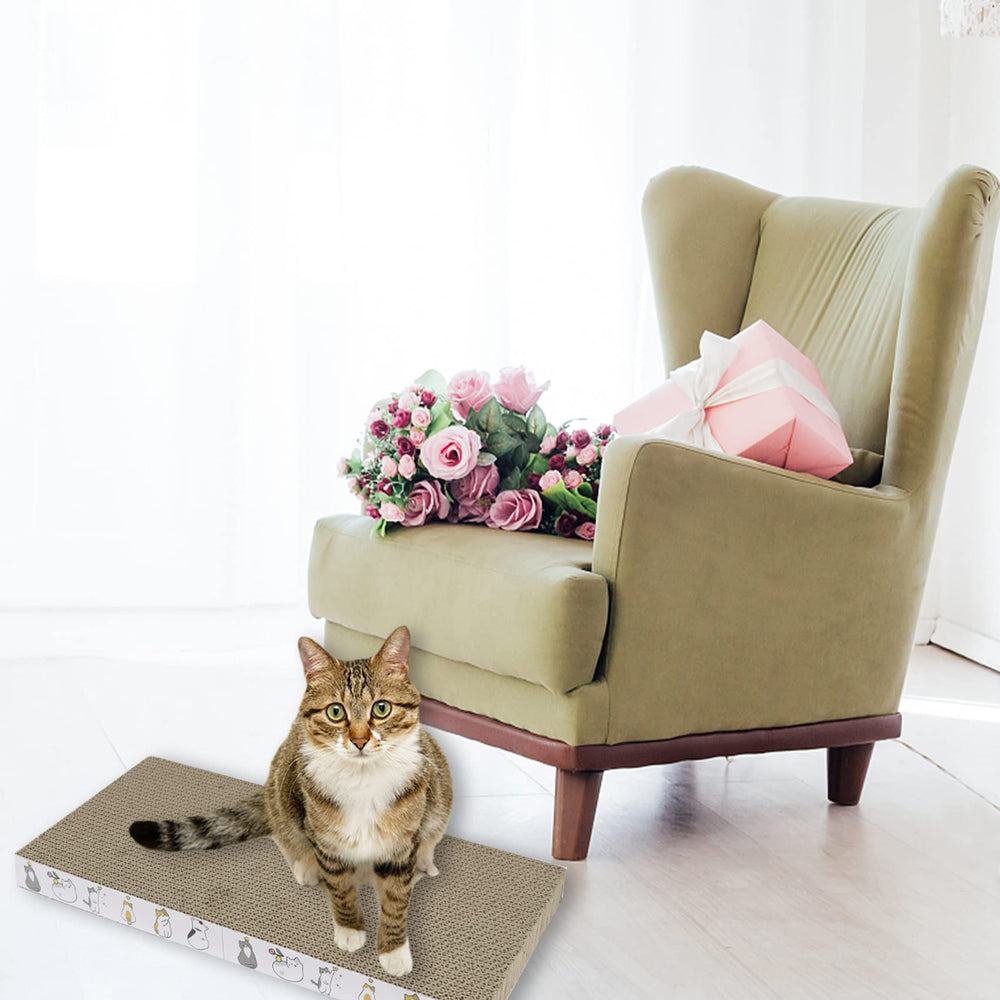 PatiencET catnip-included pack invites playful scratching and scent cues.