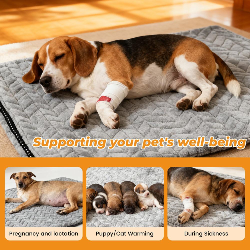 PatiencET heated pet bed multi-pet-use shows two pets cozy on one mat.