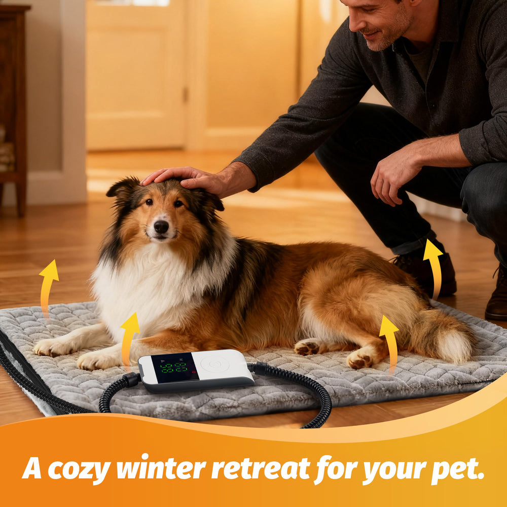 PatiencET heated pet bed non-slip-base-cord ensures stay-put safety and chew resistance.