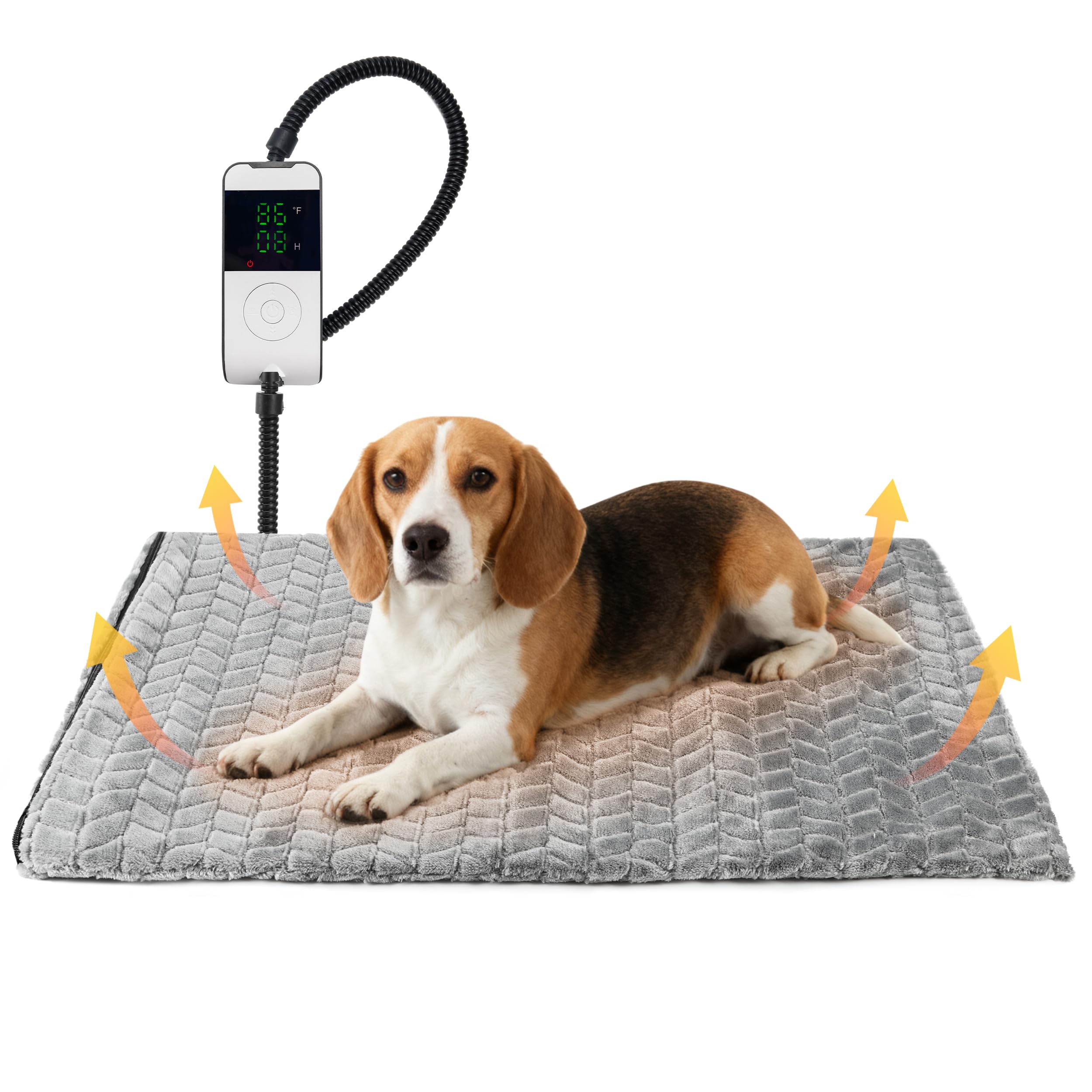 PatiencET heated pet bed sofa-use highlights warm, shared lounging for pets.