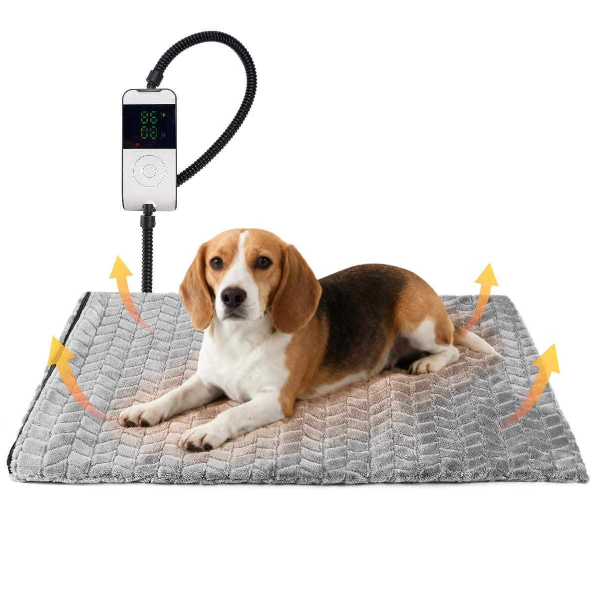 PatiencET heated pet bed sofa-use highlights warm, shared lounging for pets.