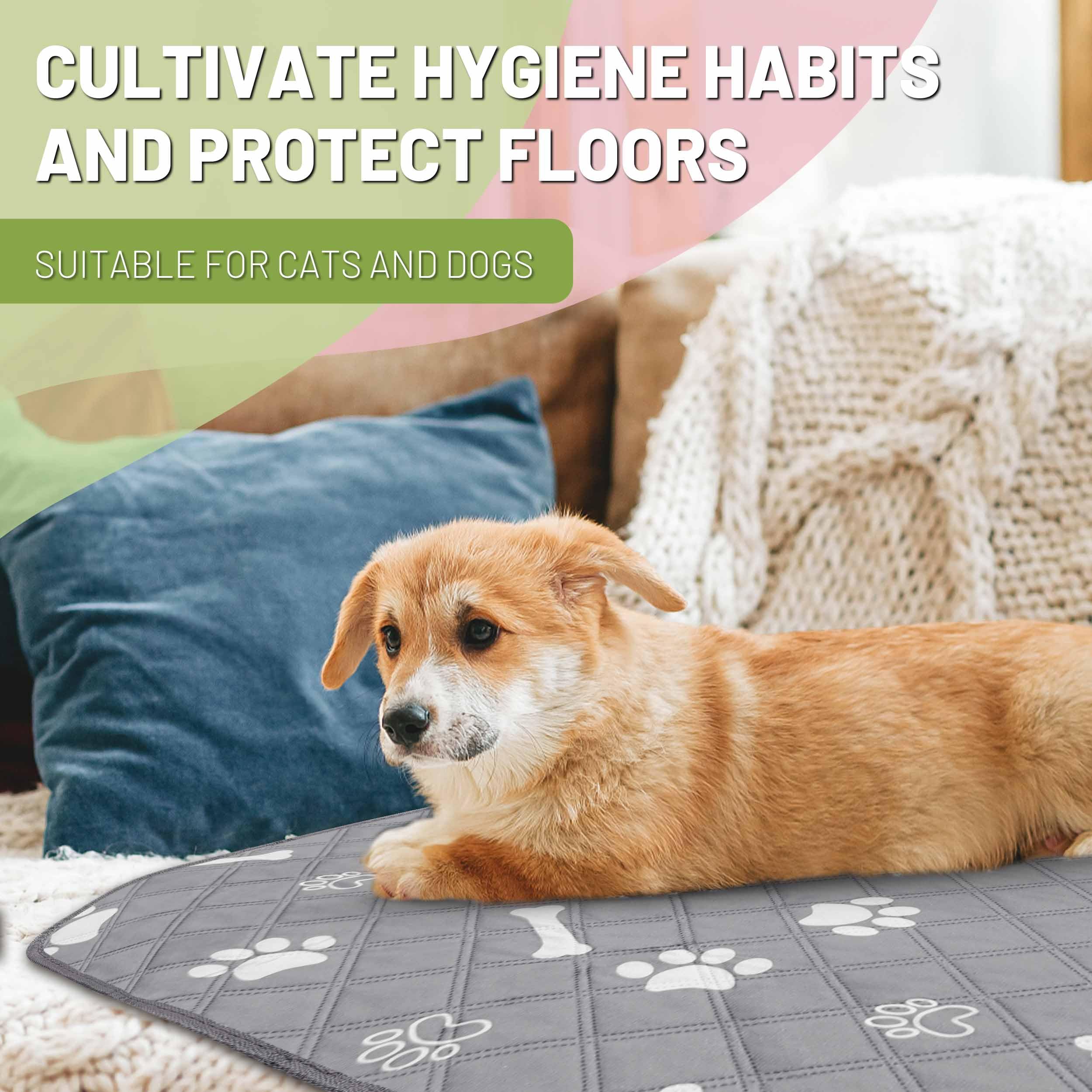 PatiencET multi-use pads suit kennels, travel, and mess-free training sessions.