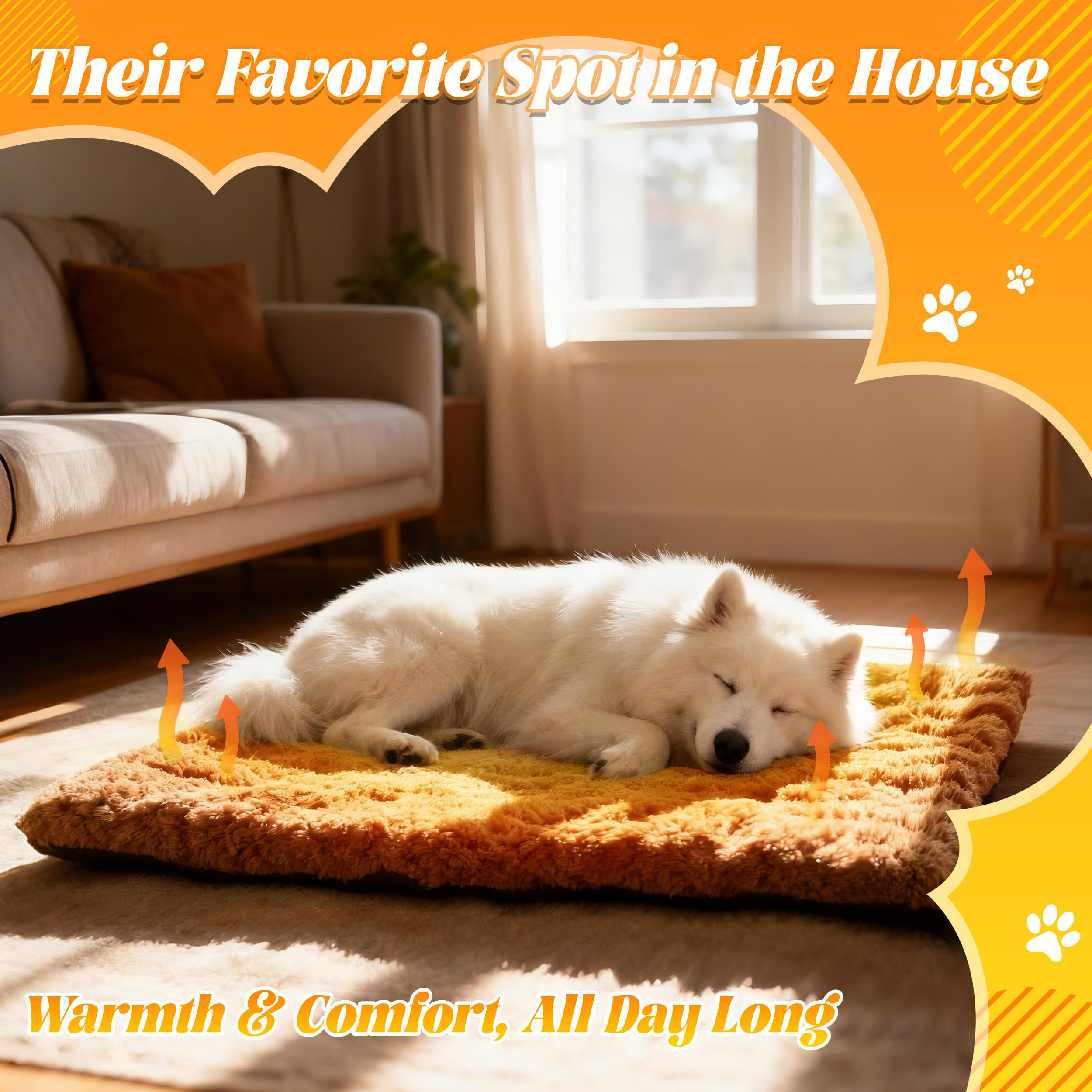 PatiencET self-warming bed cat curling demonstrates gentle comfort without electricity.