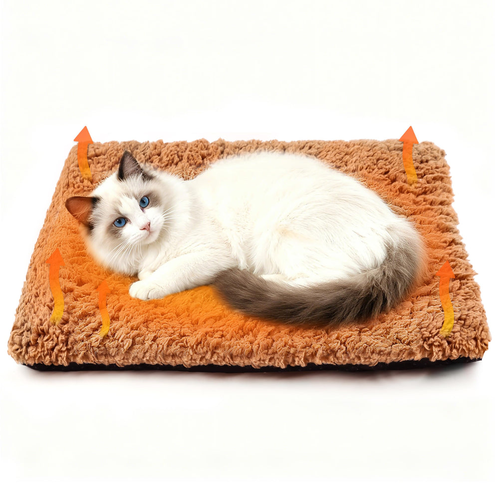 PatiencET self-warming cat bed front view offers cozy warmth for indoor cats.