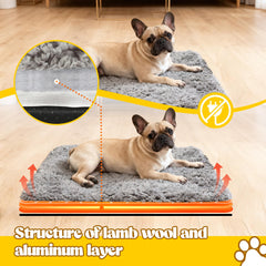 PatiencET self-warming cat bed inside crate shows versatile winter comfort.