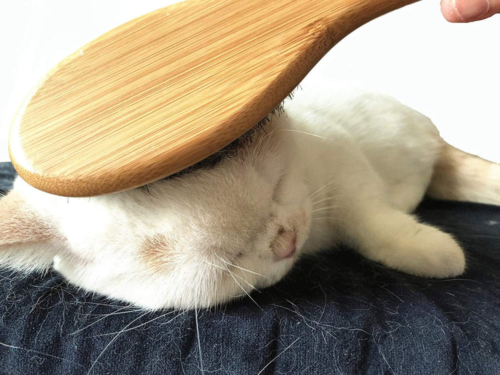 Patina brush suitable for dogs and cats of all sizes for versatile grooming.
