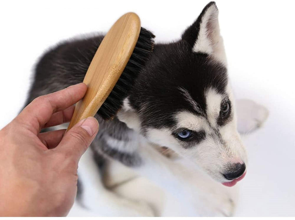 Patina massaging bristles in action delivering soothing grooming sessions for pets.