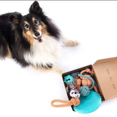 Patitas Birthday & Fun Box toys close-up illustrating varied textures for small dogs