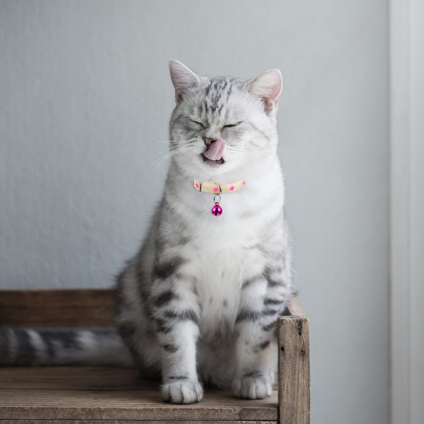 PATKAW rechargeable glow collar renews brightness easily