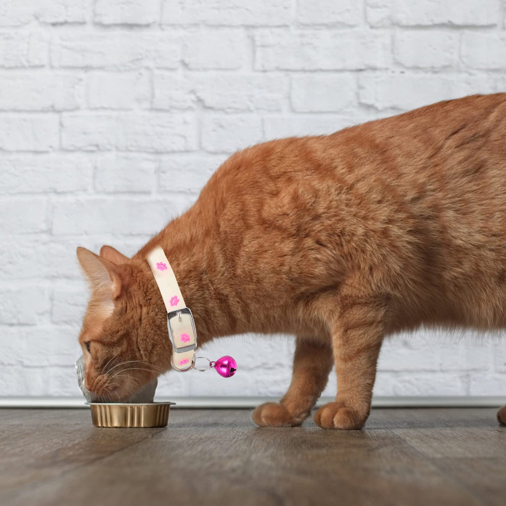 PATKAW wedding party-ready glow collar for pet photos