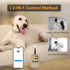 PATPET app-control dog collar display showing real-time status for efficient practice.