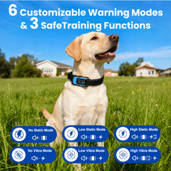 PATPET rechargeable fence battery keeps training sessions running all day