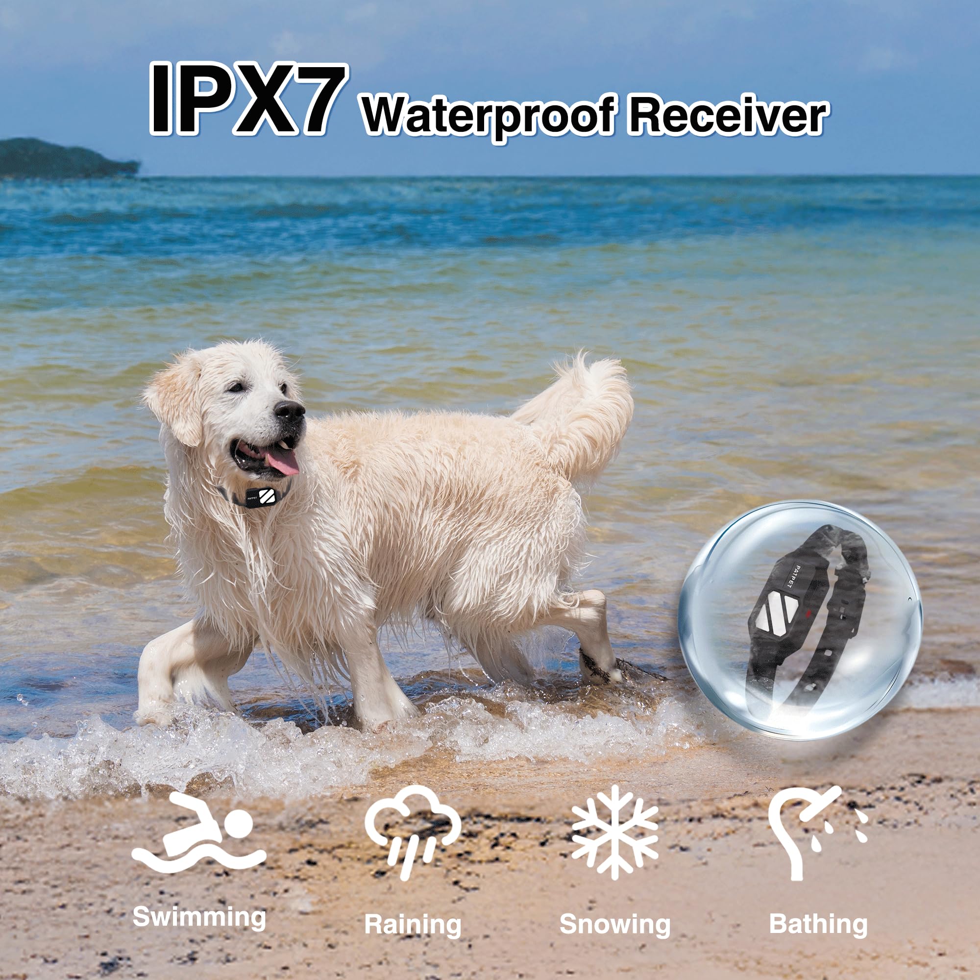 PATPET dual-channel remote supports training two dogs simultaneously.