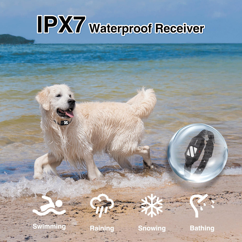 PATPET dual-channel remote supports training two dogs simultaneously.