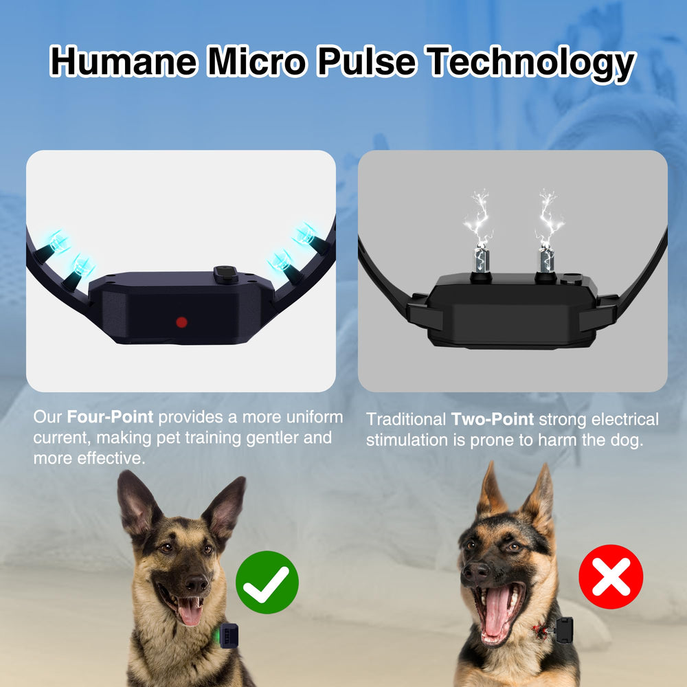 PATPET collar lights and modes for versatile training sessions