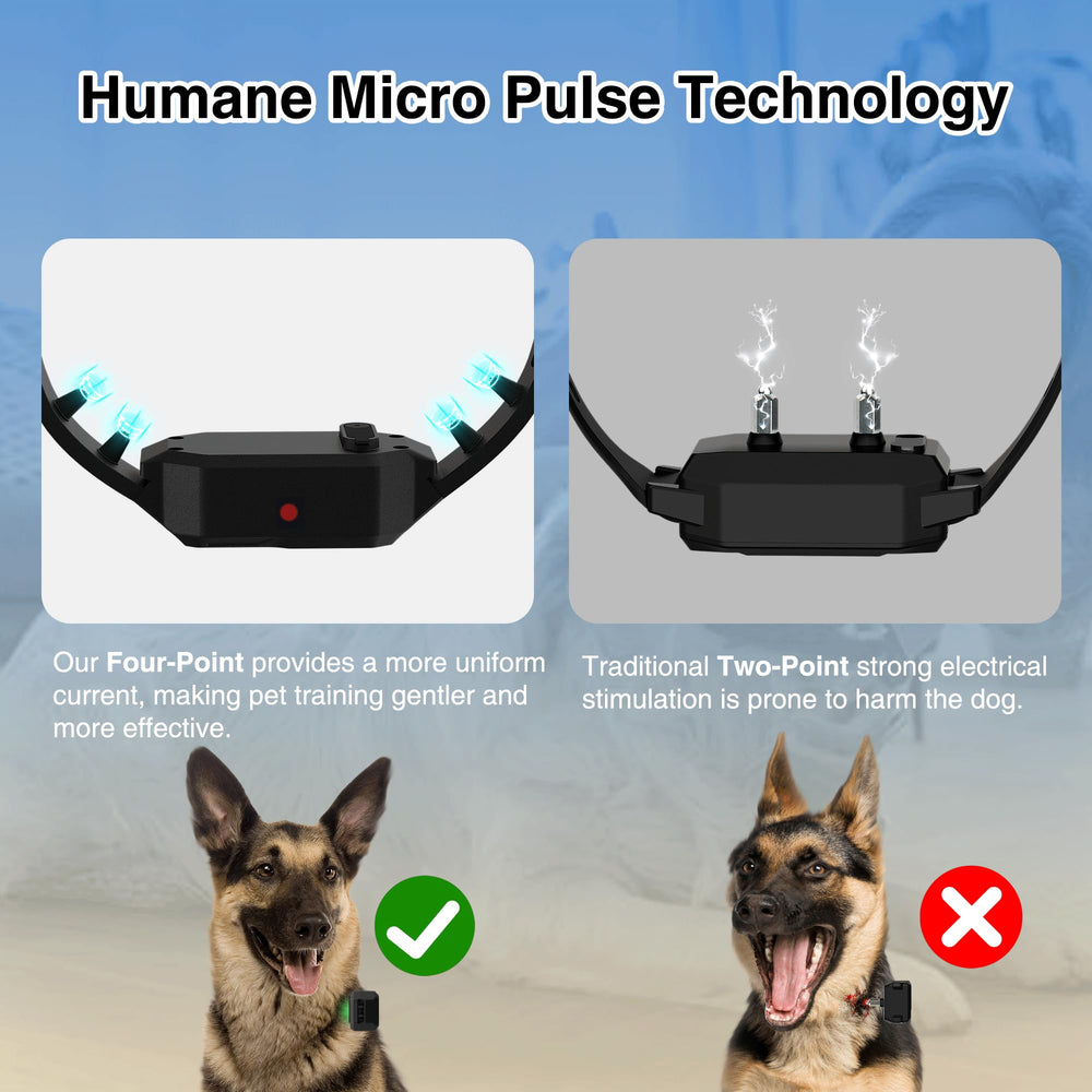 PATPET night-light modes help you spot your dog in low light.