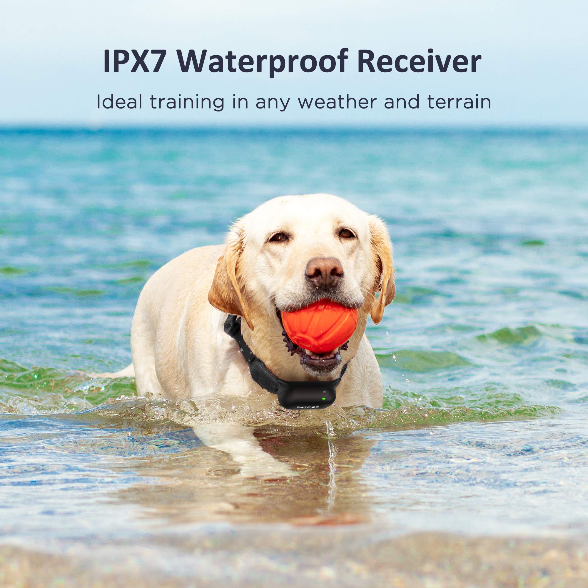 PATPET long-range remote reaches up to 4000 ft for outdoor training sessions.