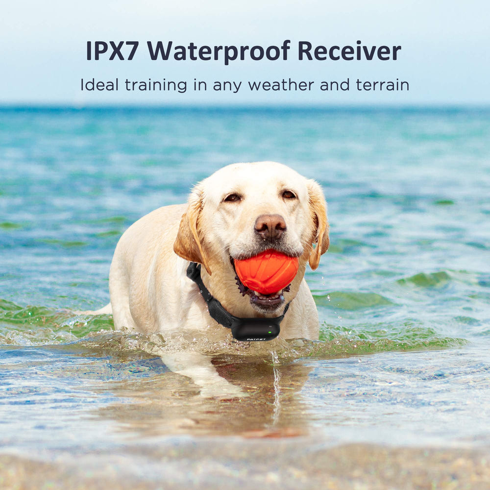 PATPET long-range remote reaches up to 4000 ft for outdoor training sessions.
