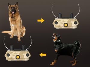 PATPET replacement kit for P Collar improves maintenance and customization for better training experience