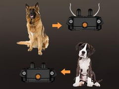 PATPET prongs closeup highlights metal conductors designed for durability