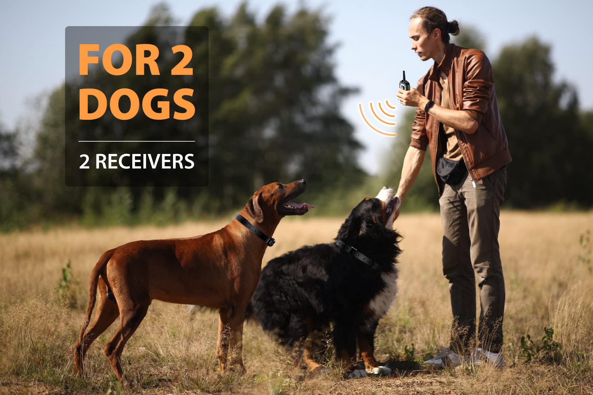 PATPET remote-control-dog-trainer with 0.75-mile range for field sessions