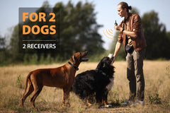 PATPET remote-control-dog-trainer with 0.75-mile range for field sessions
