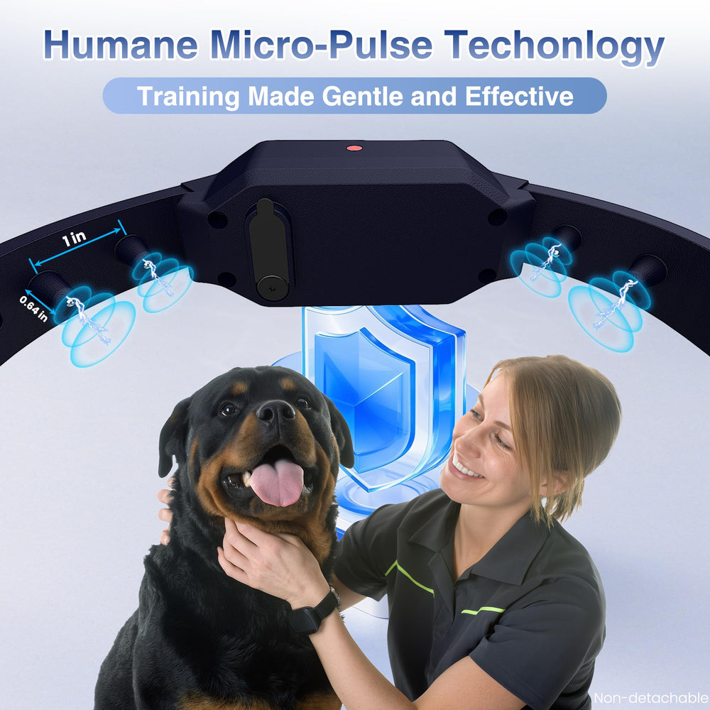 PATPET remote control handheld showing easy power on/off via magnetic switch