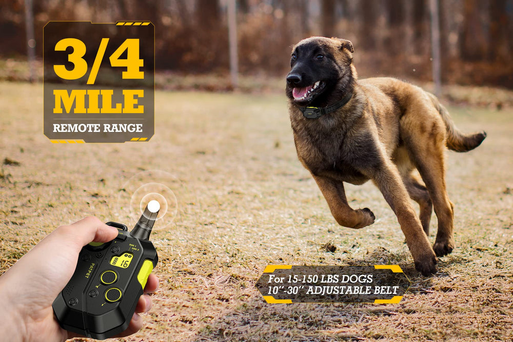 PATPET shock collar IPX7 waterproof withstands rain and wet outdoor activities