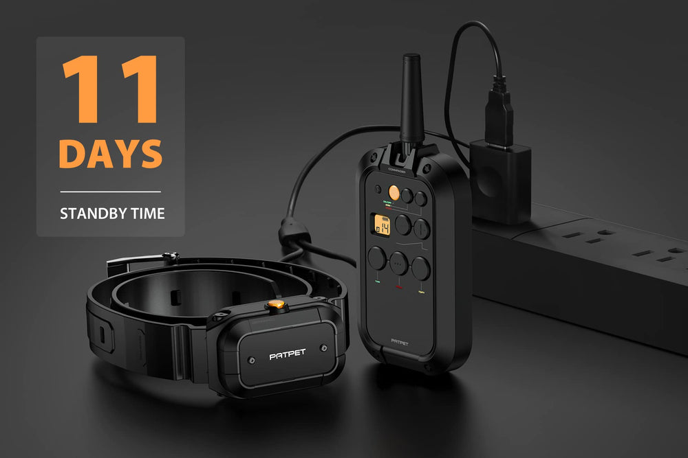 PATPET dual-channel display shows settings for two dogs.