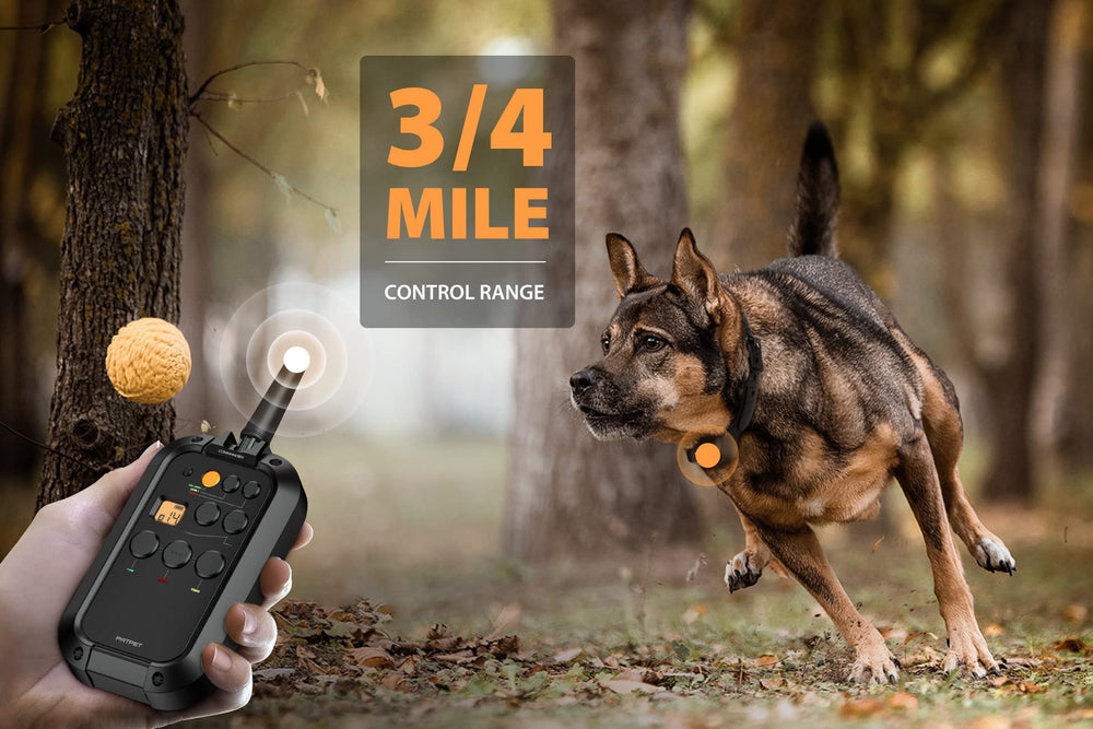 PATPET IPX7 waterproof collar suitable for rain-ready training outdoors.