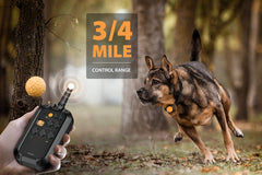 PATPET IPX7 waterproof collar suitable for rain-ready training outdoors.