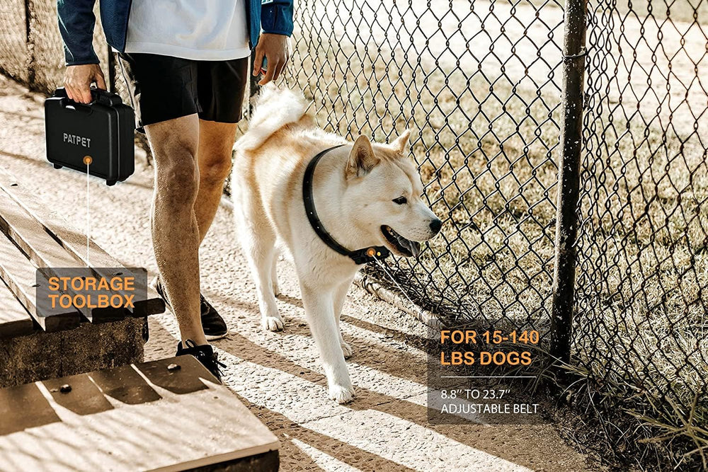 PATPET receiver unit attached to a large dog for reliable training control.