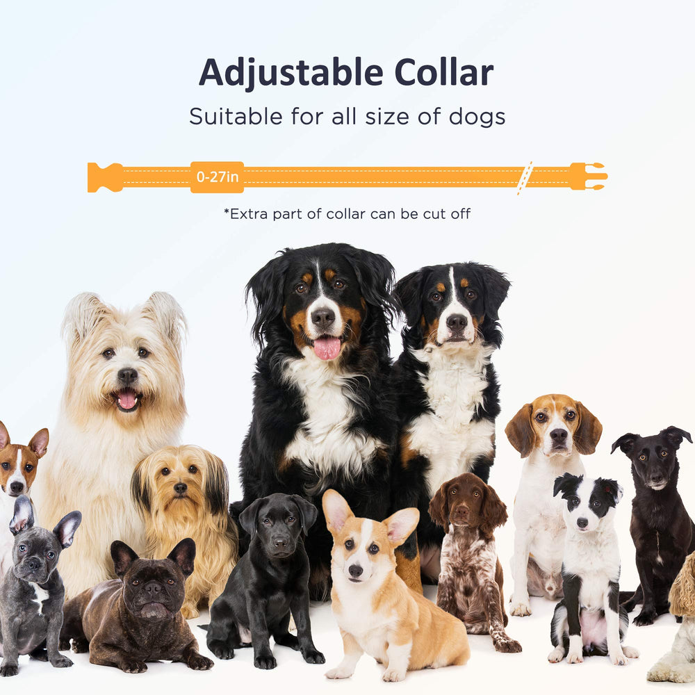 PATPET training modes highlight tone, vibration, and adjustable static levels for personalized cues.