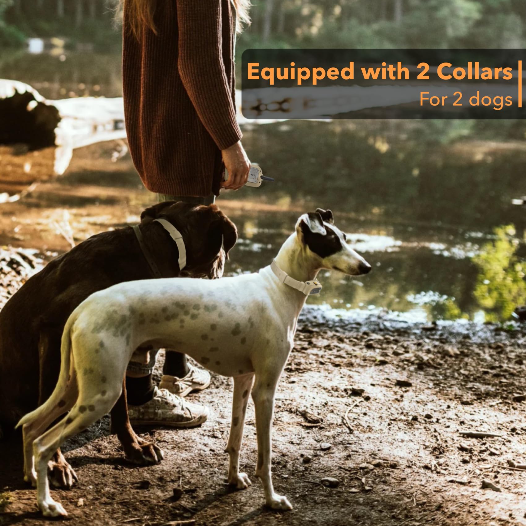 PATPET two-collars training system shown with dual-collar setup for two dogs.