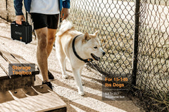 PATPET two-dogs training collar close-up highlights durable TPU band for all-day wear.