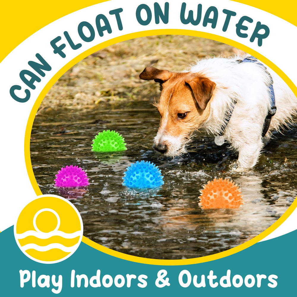 PatsFran 6-pack is ideal for small to medium dogs for versatile indoor and outdoor play.