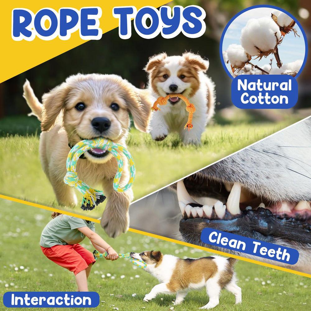 PatsFran rope toy duo for tug-of-war and dental exercise
