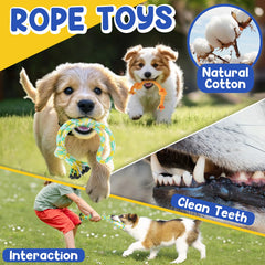 PatsFran rope toy duo for tug-of-war and dental exercise