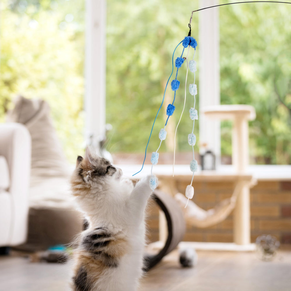 PATTEPOINT cat wand toy durable-storage design simplifies keeping accessories organized.
